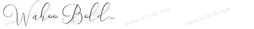 Wahoo Bold字体转换